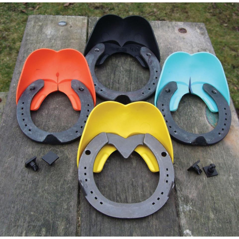Shoe secure