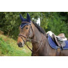 Howlett Training Aid - HFI