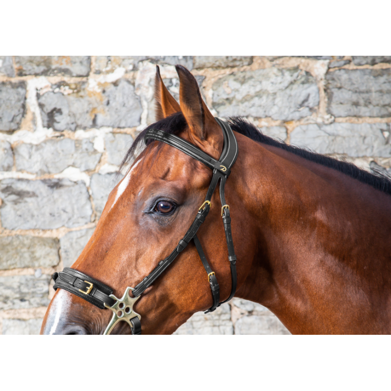 Hackamore Cheek Pieces - D collection