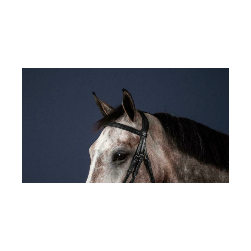 New English Browband Dy'on