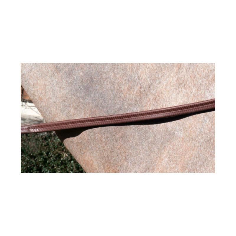 Soft Rubber Reins -  Working by Dy'on