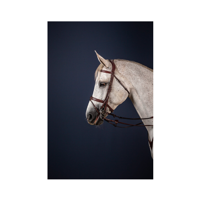 Double Bridle Cheek Pieces - New English Dy'on