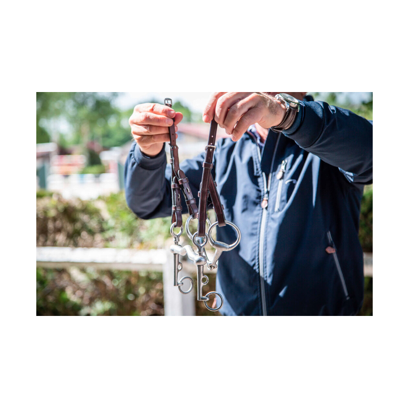 Double Bridle Cheek Pieces - New English Dy'on