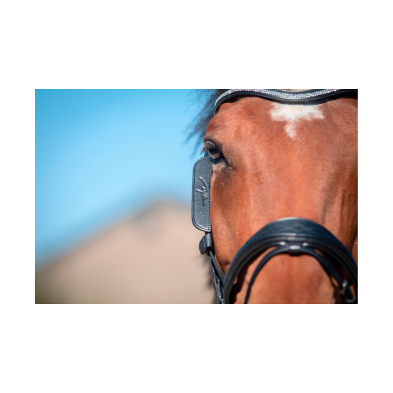 Focus Blinkers Dy'on