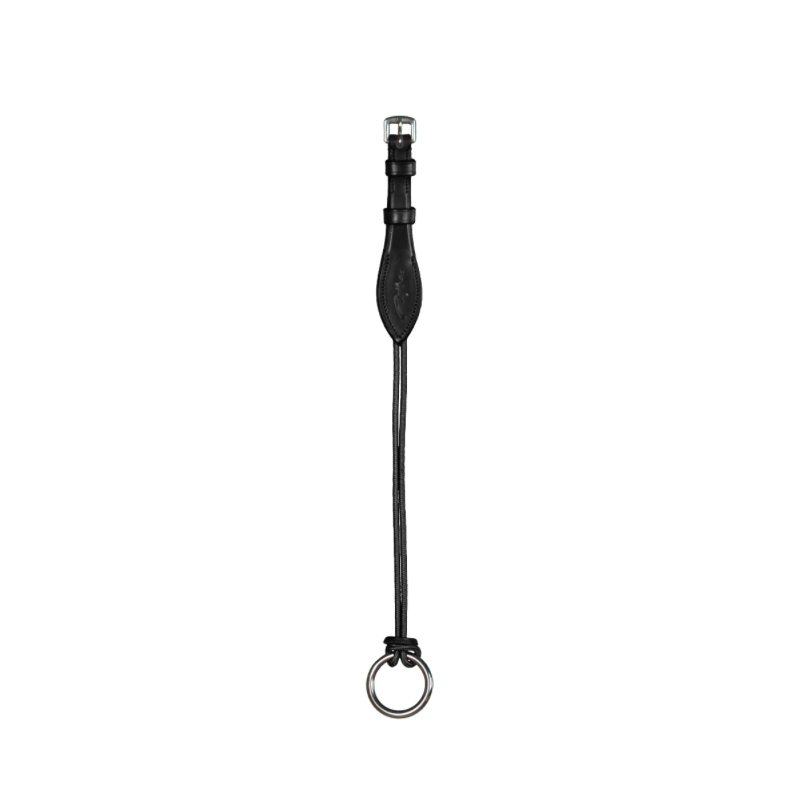 Montants de releveur cordes fines inox - New English Dy'on
