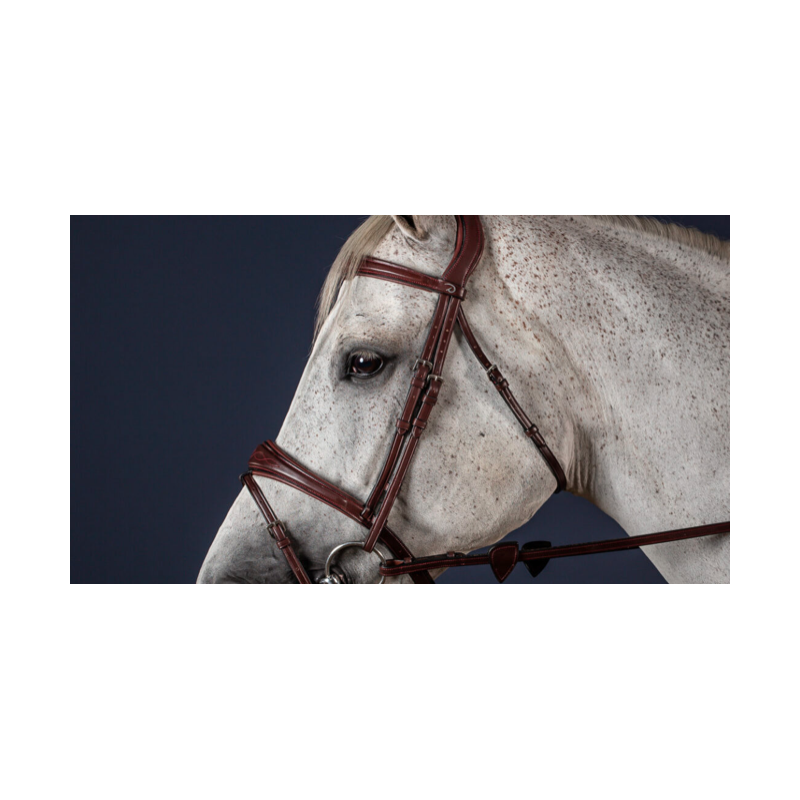 Regular Cheek Pieces - New English Dy'on