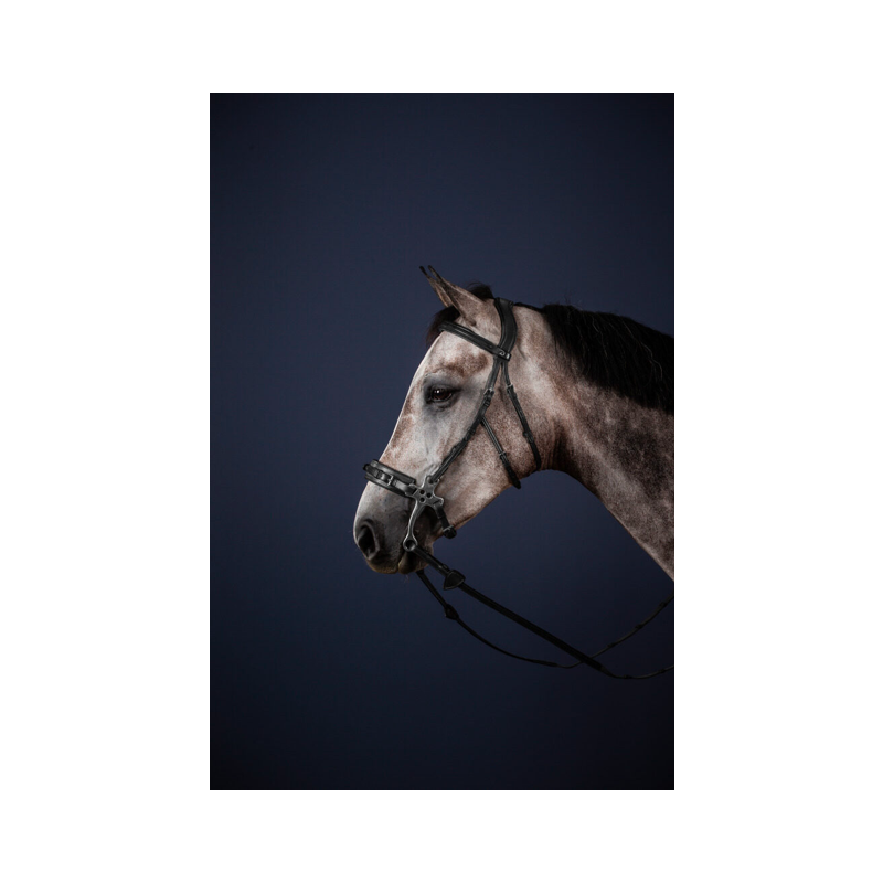 Hackamore Cheek Pieces - New English Dy'on