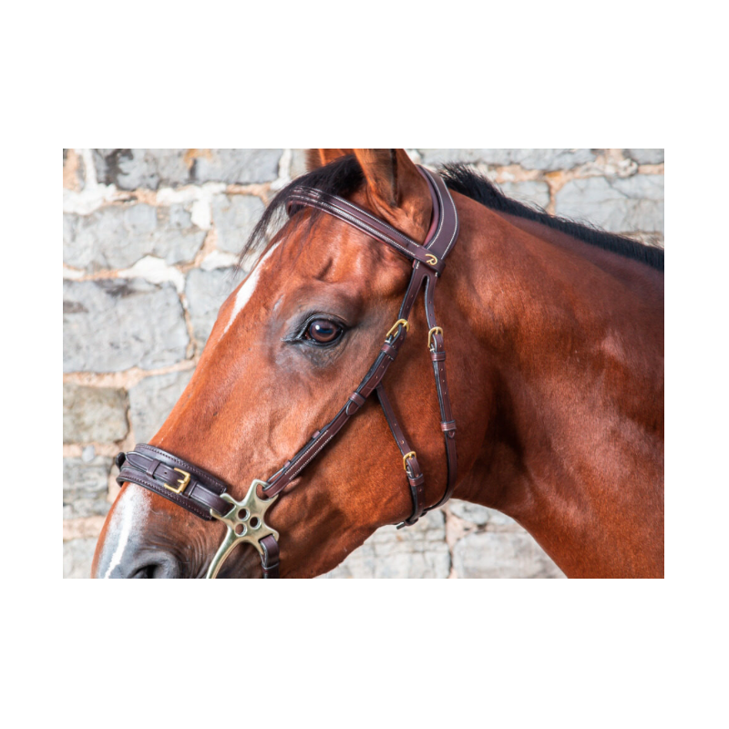 Hackamore Cheek Pieces - D collection