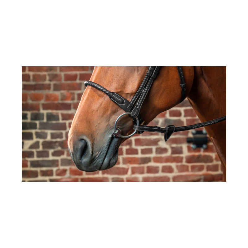 Leather Rope Noseband - D Collection