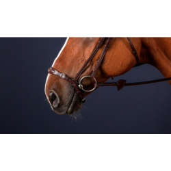 Adjustable Drop Noseband -...