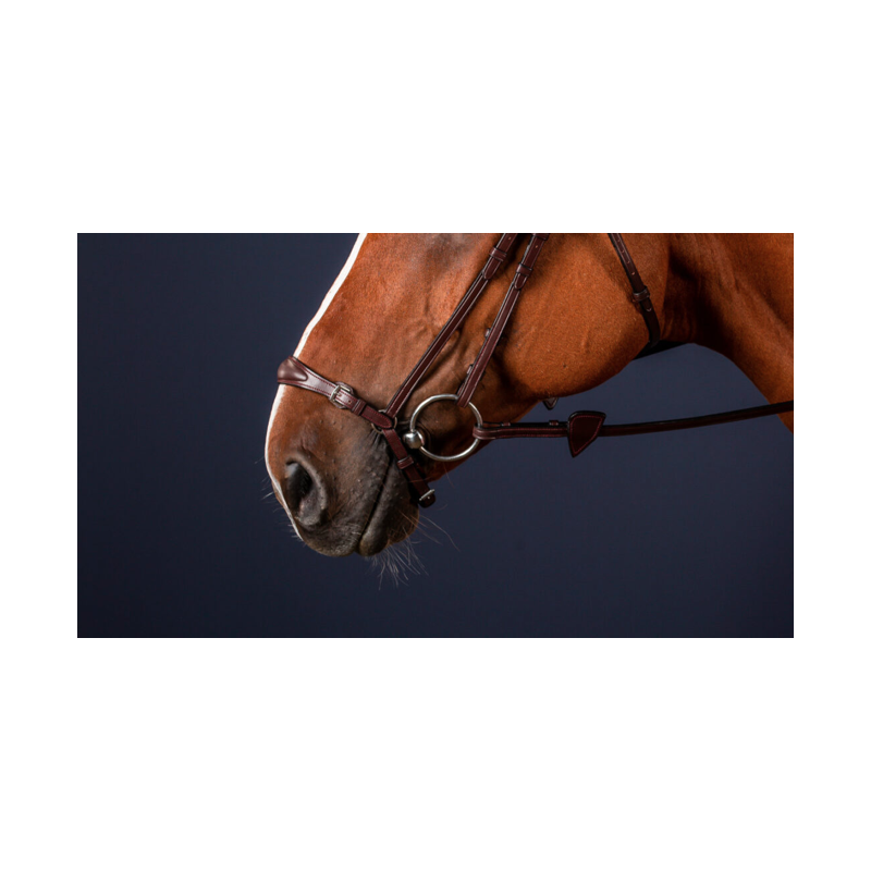 Adjustable Drop Noseband - New English Dy'on