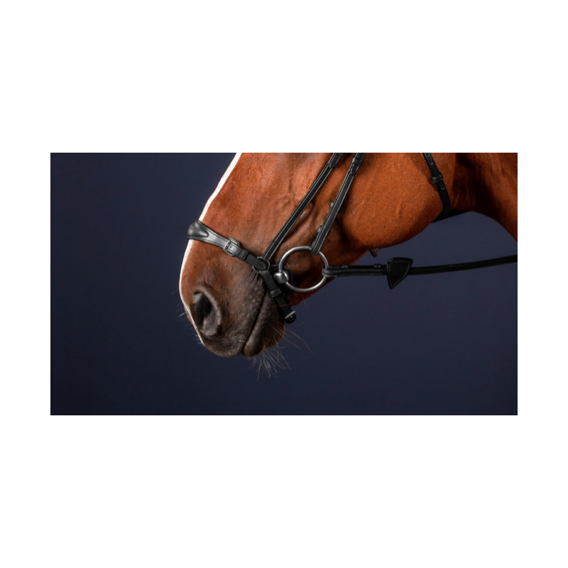 Adjustable Drop Noseband - New English Dy'on