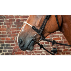 Rope Noseband  - D Collection