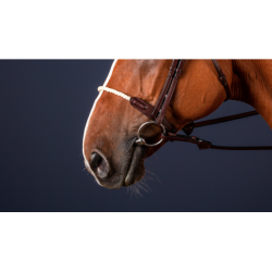 Rope Noseband - New English