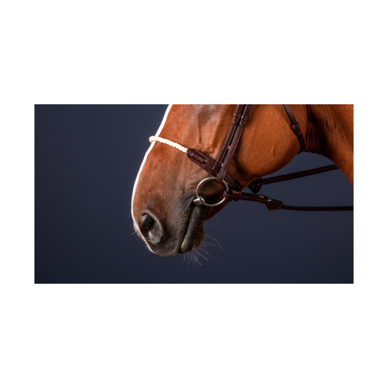 Rope Noseband - New English Dy'on