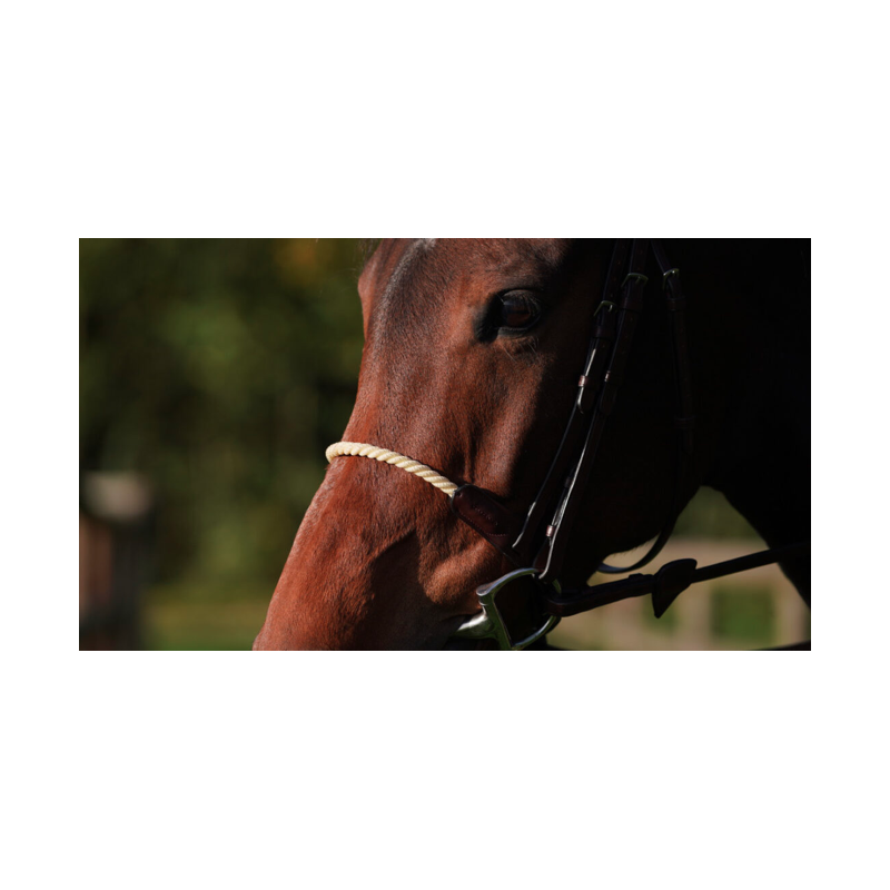 Rope Noseband - New English Dy'on