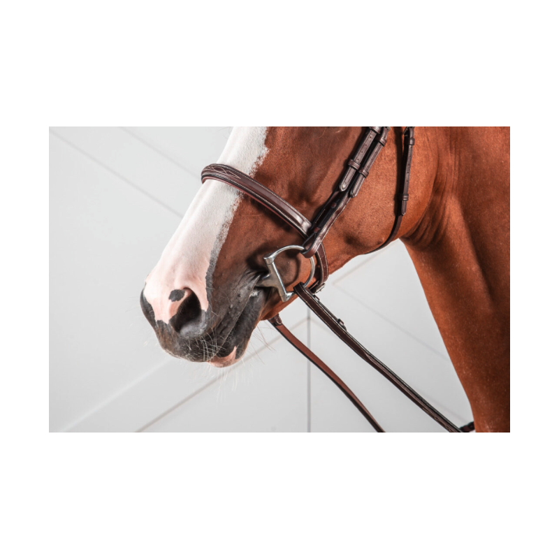 Cavesson noseband bridle - Hunter Dy'on
