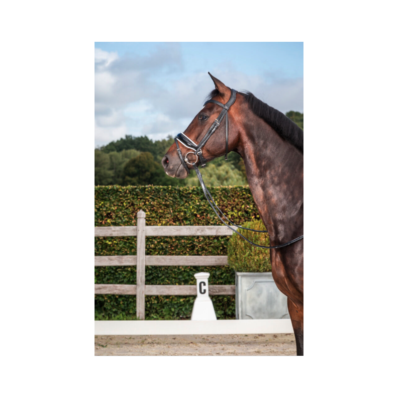 Dressage Anatomic Head Piece