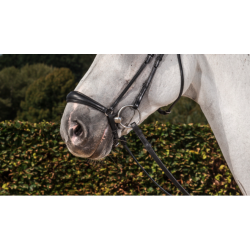 Drop noseband - Dressage