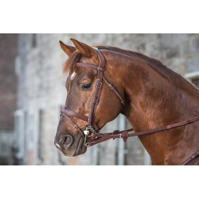 Converters Rubber Reins with stoppers - New English Dy'on