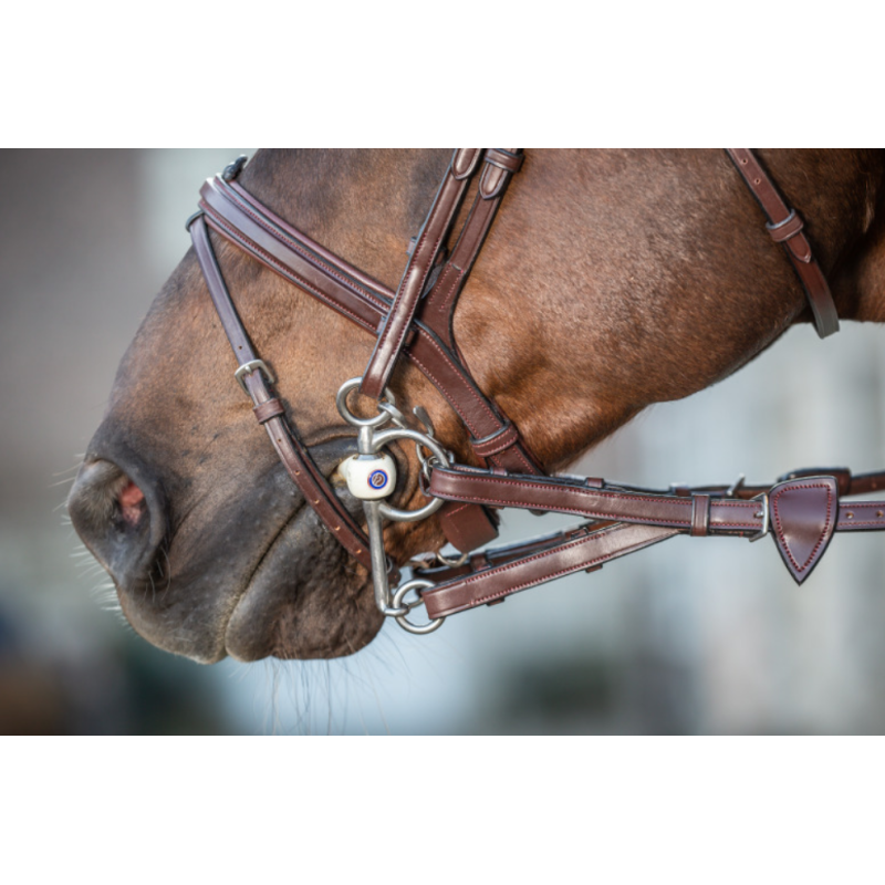 Converters Rubber Reins with stoppers - New English Dy'on