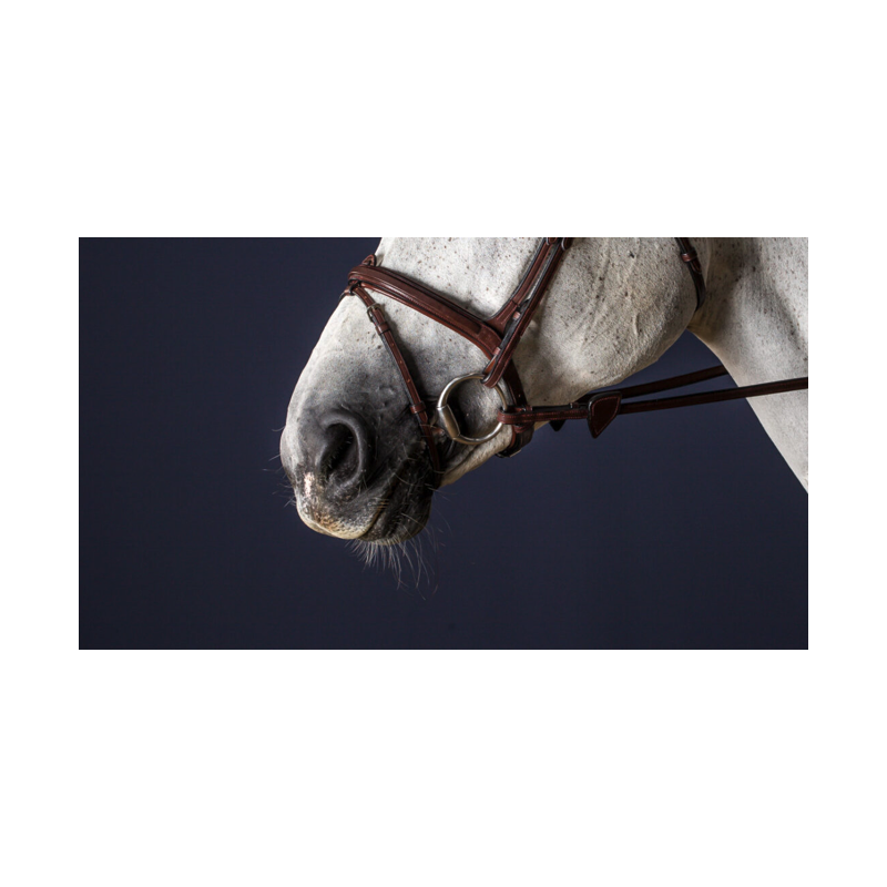 Flash Noseband - New English Dy'on