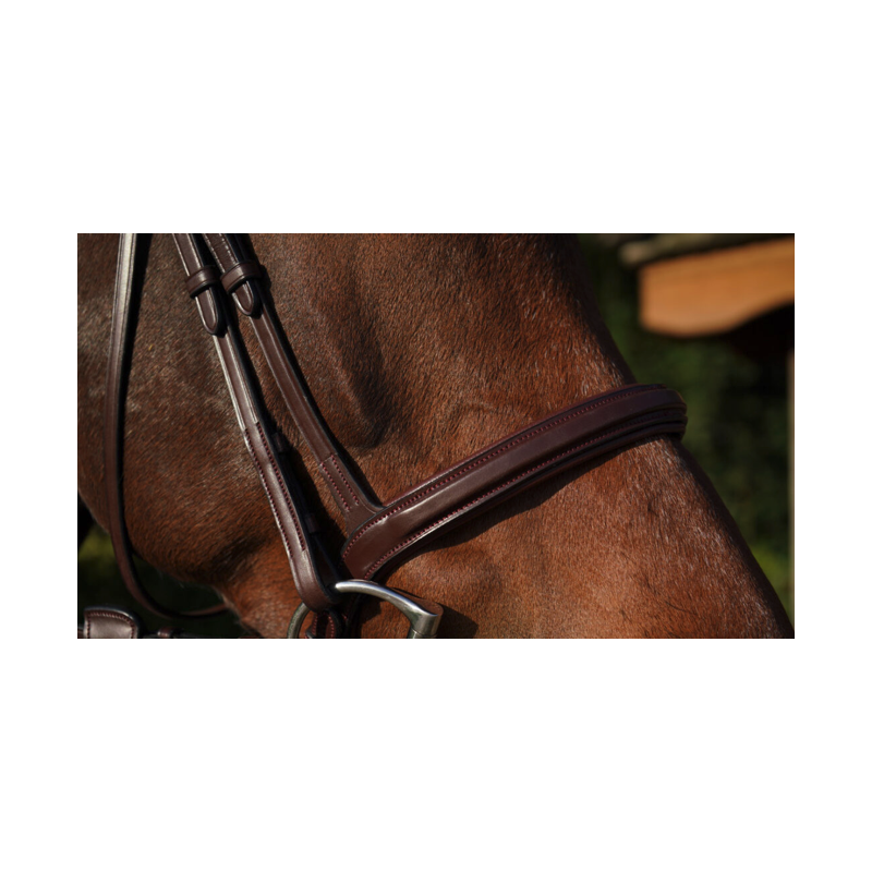 Flash Noseband - New English Dy'on