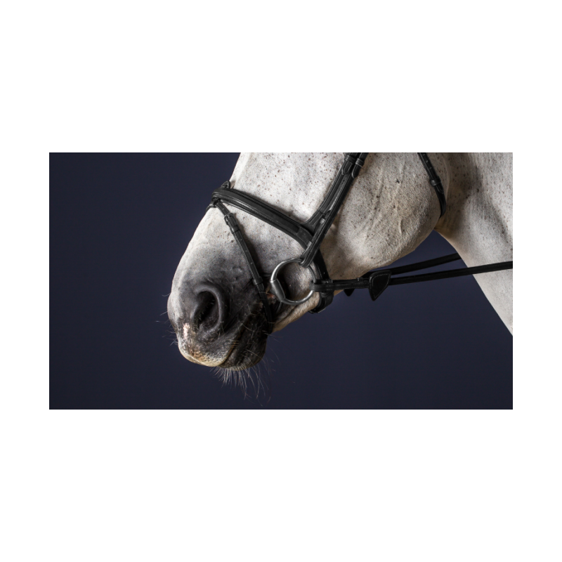 Flash Noseband - New English Dy'on