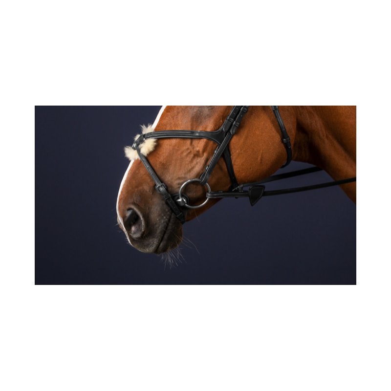 Flash Noseband - New English Dy'on