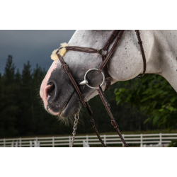 Fig 8 noseband - Hunter