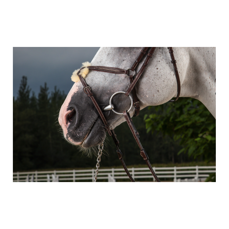 Fig 8 noseband Hunter Dy'on