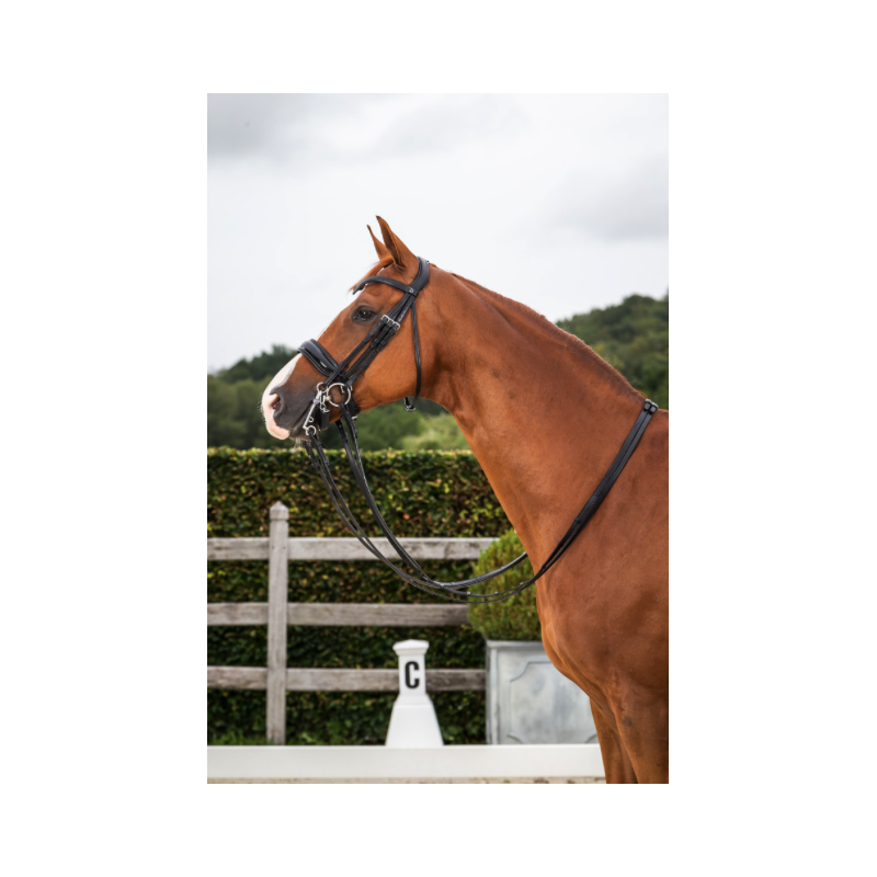 Têtière anatomique de bride collection dressage Dy'on