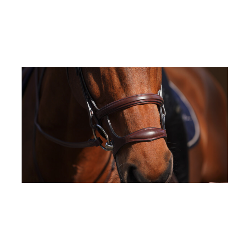 Double Noseband - New English Collection Dy'on