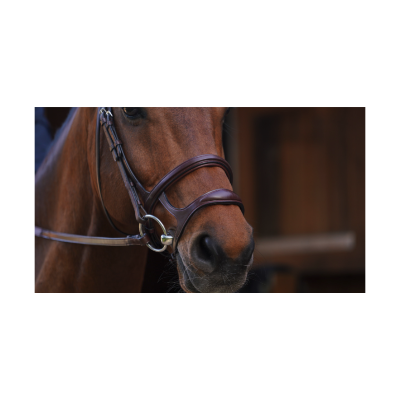 Double Noseband - New English Collection Dy'on
