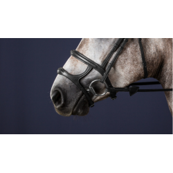 Double Noseband - New English