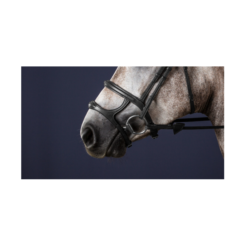 Double Noseband - New English Collection Dy'on