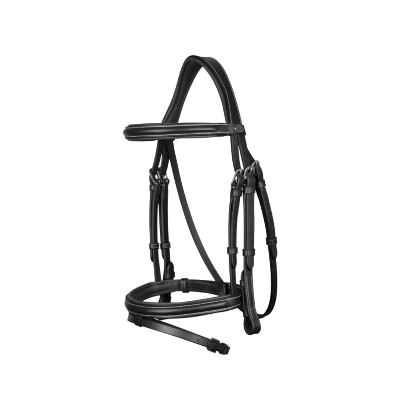 Classic Flash Noseband Bridle - Working by Dy'on