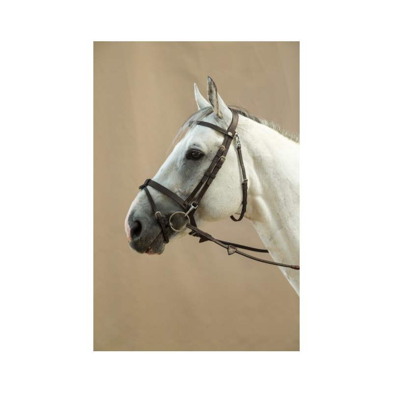 Bridle Flat leather - Working by Dy'on