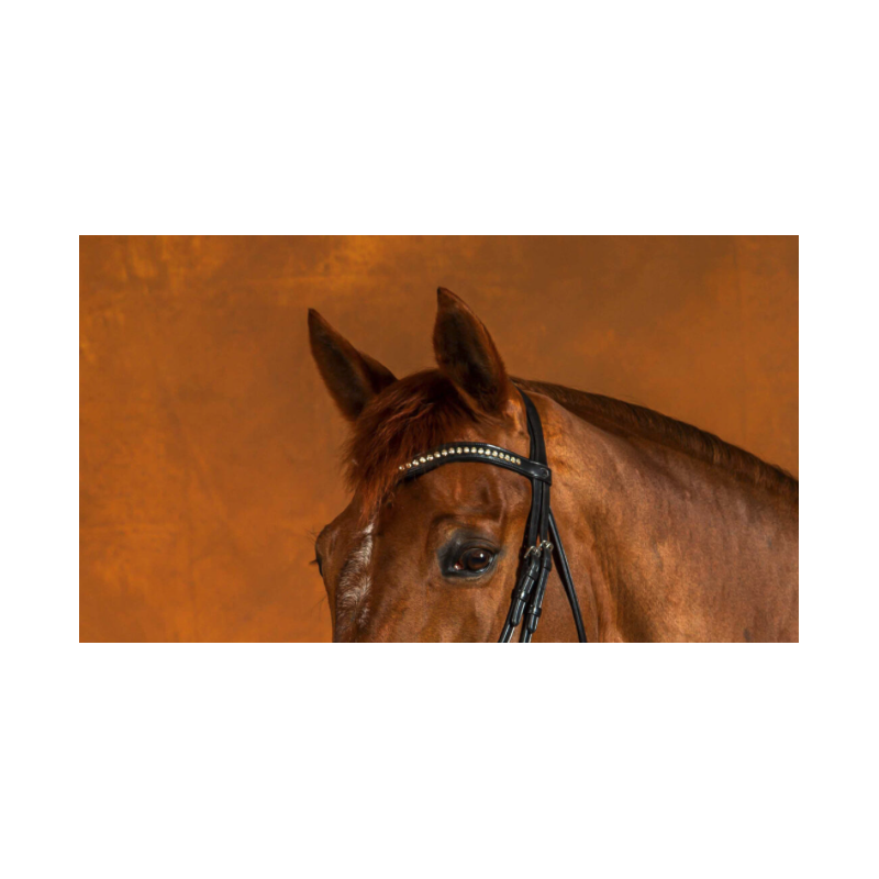 White Diamond Browband - New English Dy'on