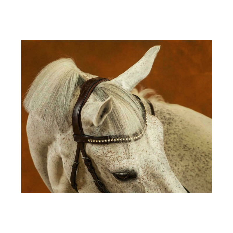 Frontal Swarovski V blanc New English Dressage Dyon | M&M