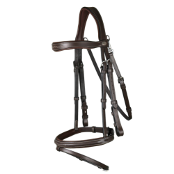 Fancy Flash Noseband Bridle...