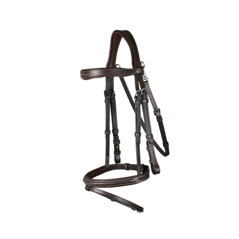 Fancy" Bridle - Working by Dy'on