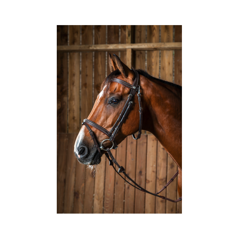 Bridon "Fancy" mousqueton - Working by Dy'on