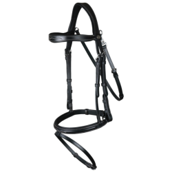 Fancy Flash Noseband Bridle...