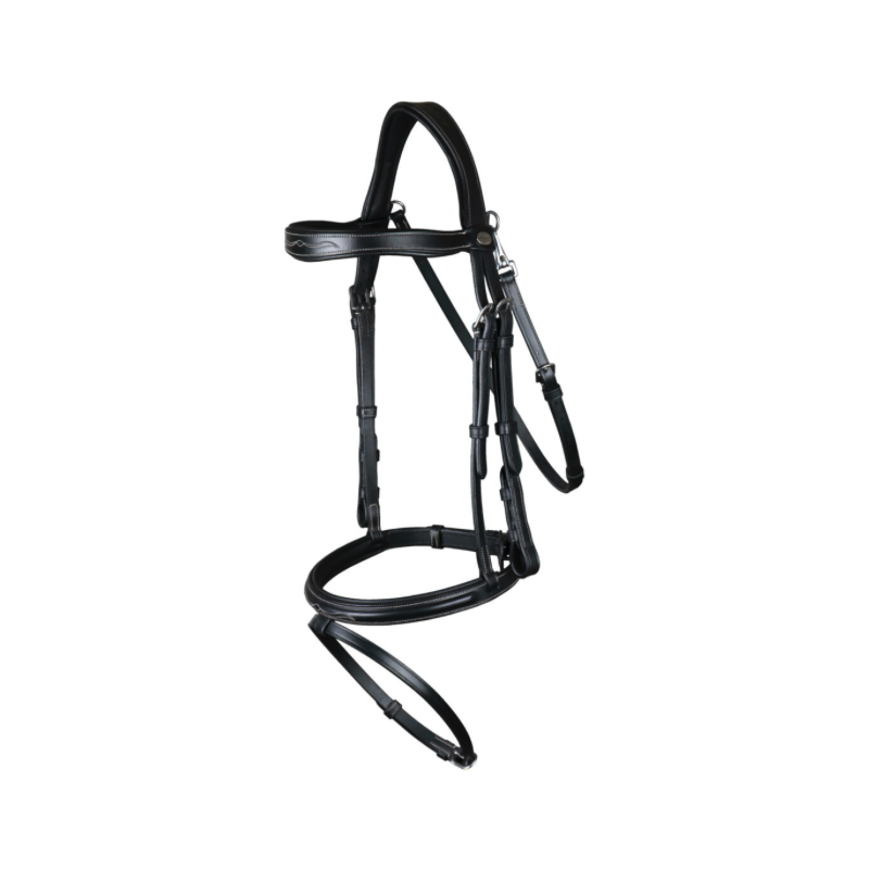 Fancy" Bridle - Working by Dy'on