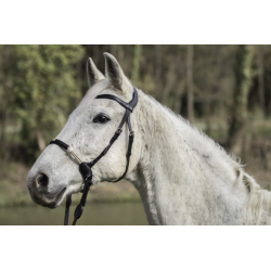 Bitless Bridle - La Cense