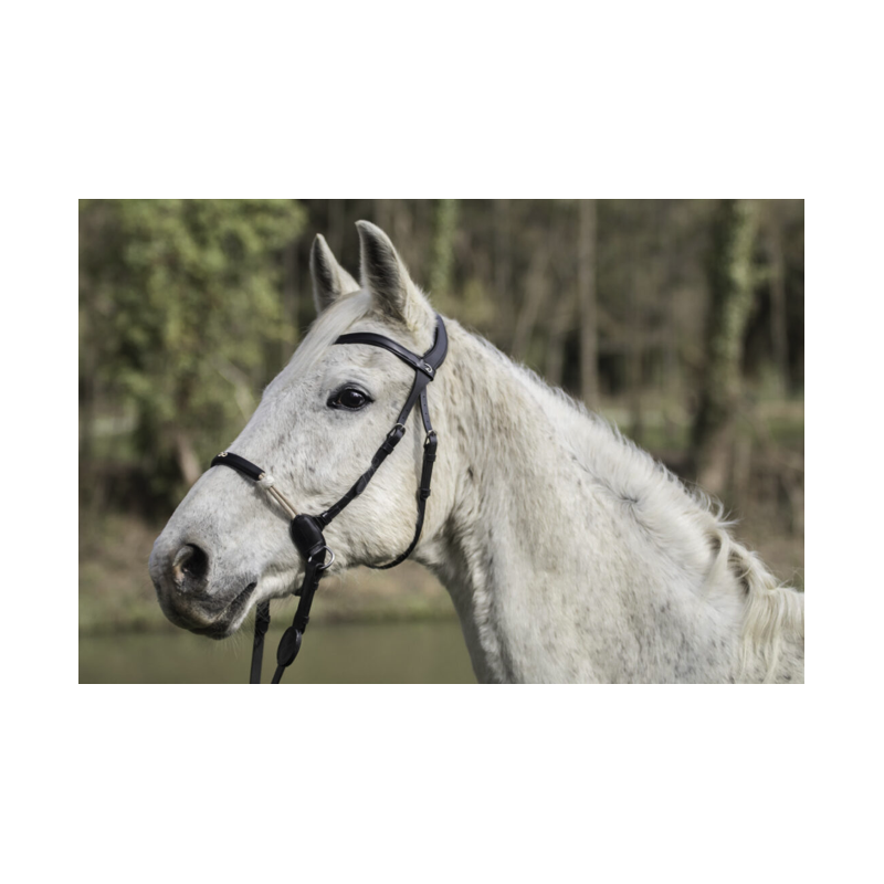 Bitless Bridle La Cense by Dy'on