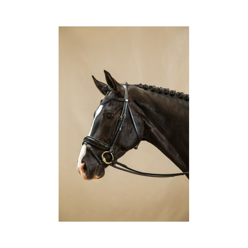 Bridle Flat leather - Working by Dy'on