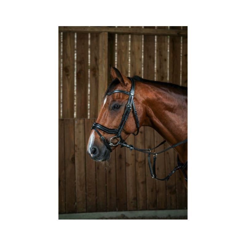 Bridle Working Fit - Working by Dy'on