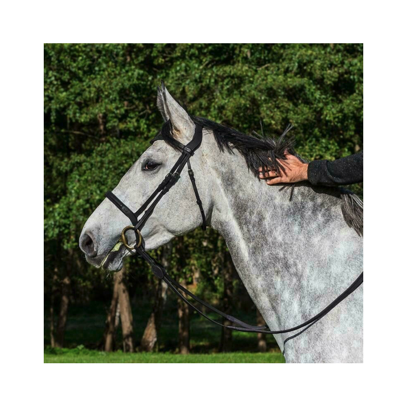 Flash Noseband Bridle - La Cense by Dy'on